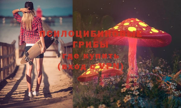 соль ск Абдулино