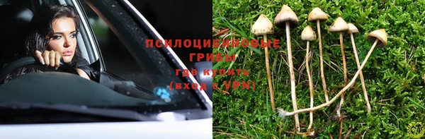 соль ск Абдулино