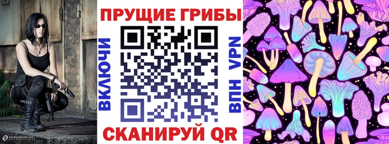 Галлюциногенные грибы Psilocybe  Тетюши 